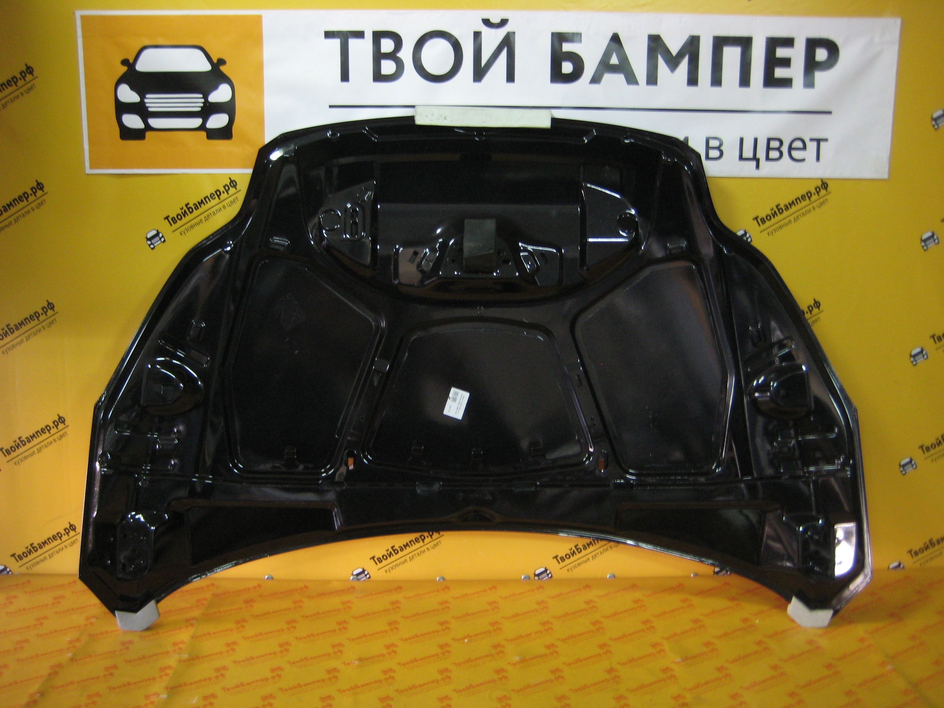 Капот Форд Фокус 3 Черный 2010 (4)