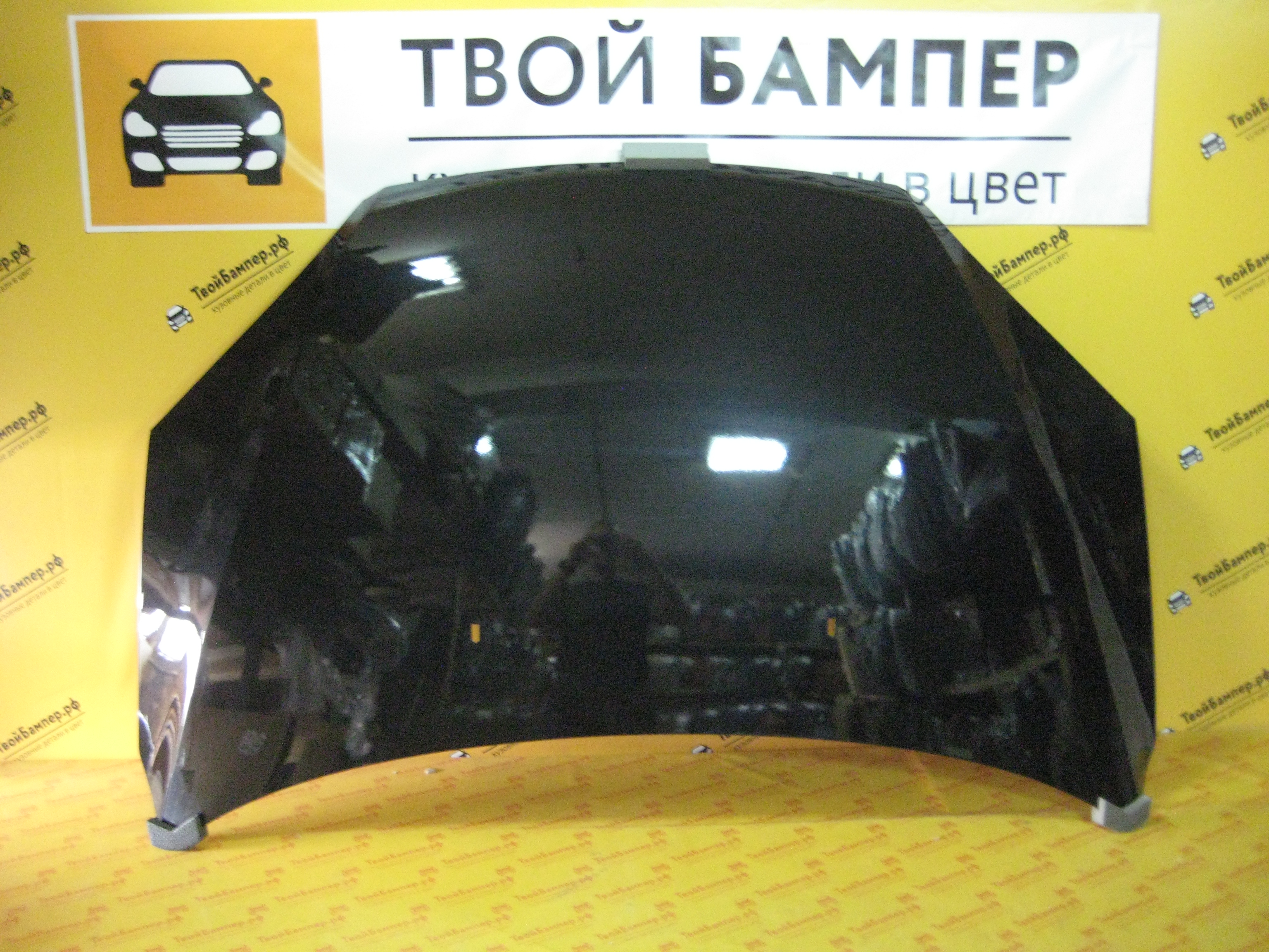 Капот Форд Фокус 2 (05-) Panter Black (2)